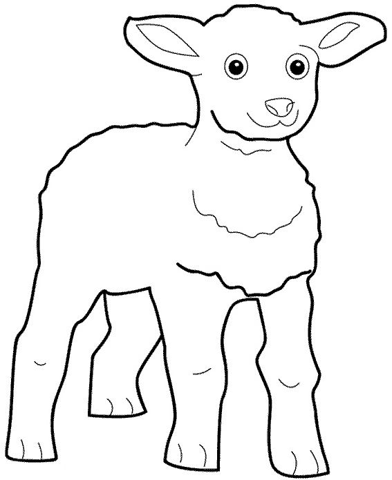 Раскраска: баранина (Животные) #200 - Бесплатные раскраски для печати