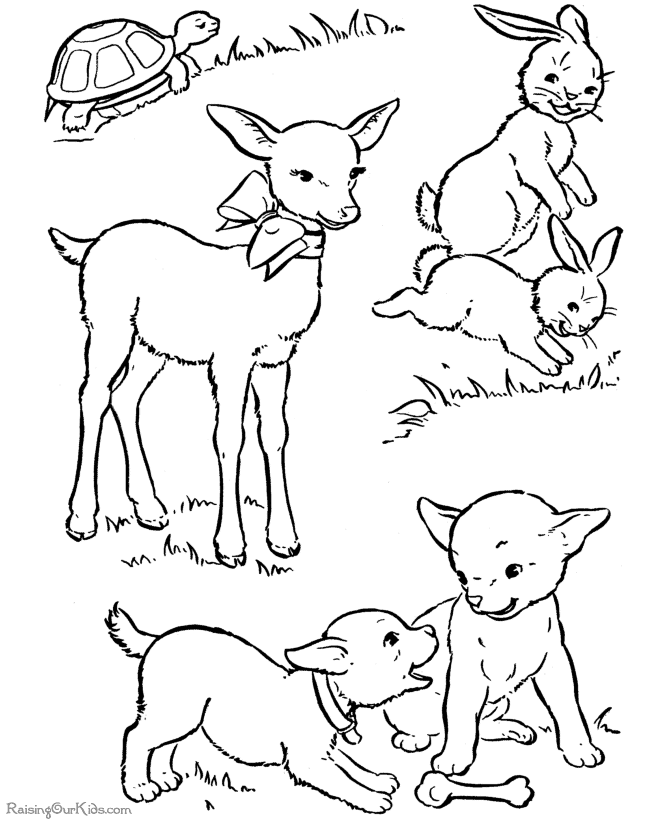 Раскраска: баранина (Животные) #262 - Бесплатные раскраски для печати