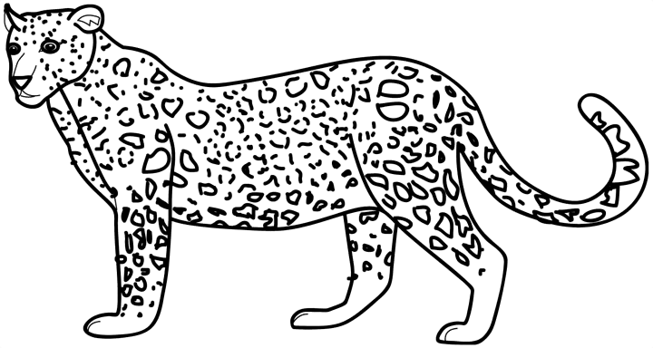 Раскраска: леопард (Животные) #9705 - Бесплатные раскраски для печати