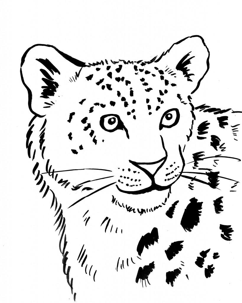 Раскраска: леопард (Животные) #9742 - Бесплатные раскраски для печати