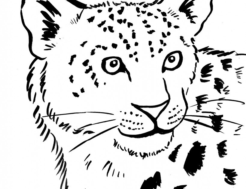 Раскраска: леопард (Животные) #9759 - Бесплатные раскраски для печати