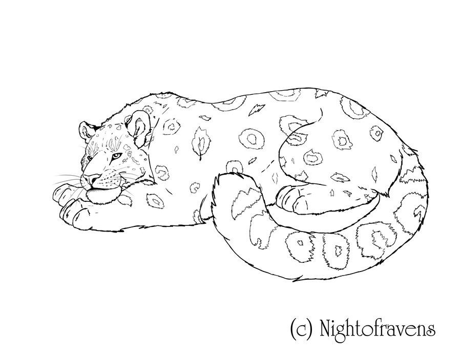 Раскраска: леопард (Животные) #9801 - Бесплатные раскраски для печати