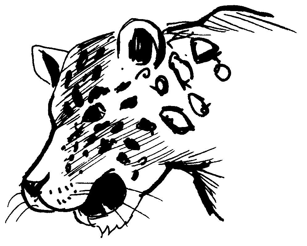 Раскраска: леопард (Животные) #9807 - Бесплатные раскраски для печати