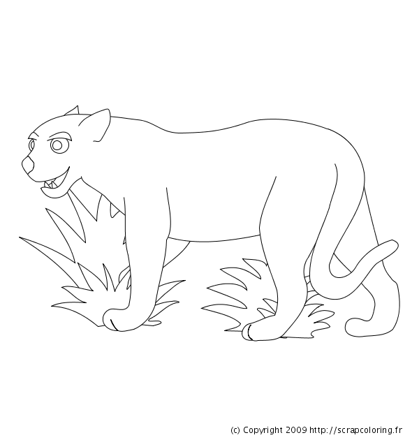 Раскраска: леопард (Животные) #9841 - Бесплатные раскраски для печати