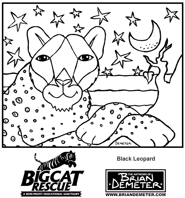 Раскраска: леопард (Животные) #9864 - Бесплатные раскраски для печати