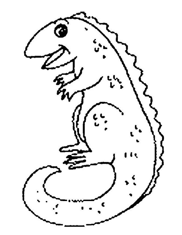 Раскраска: ящериц (Животные) #22302 - Бесплатные раскраски для печати