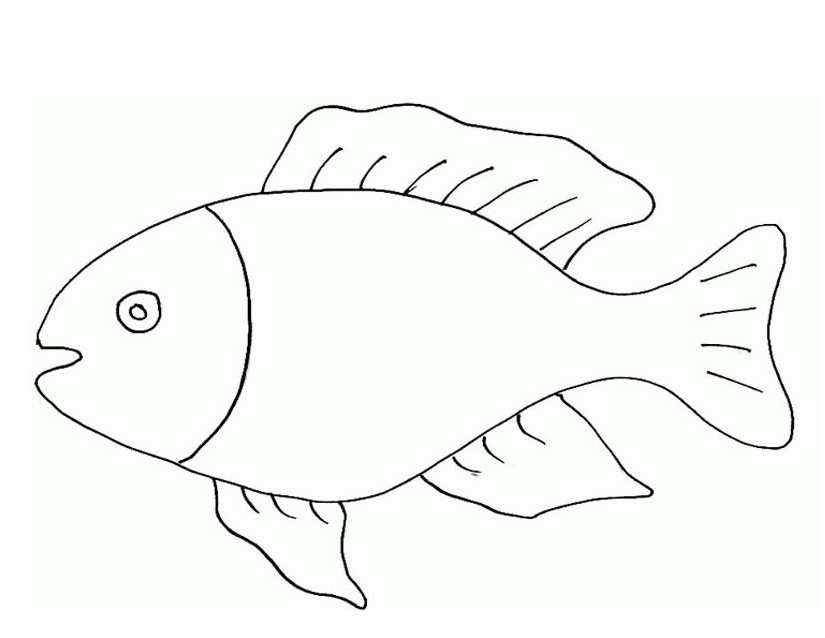 Раскраска: Морские животные (Животные) #22216 - Бесплатные раскраски для печати
