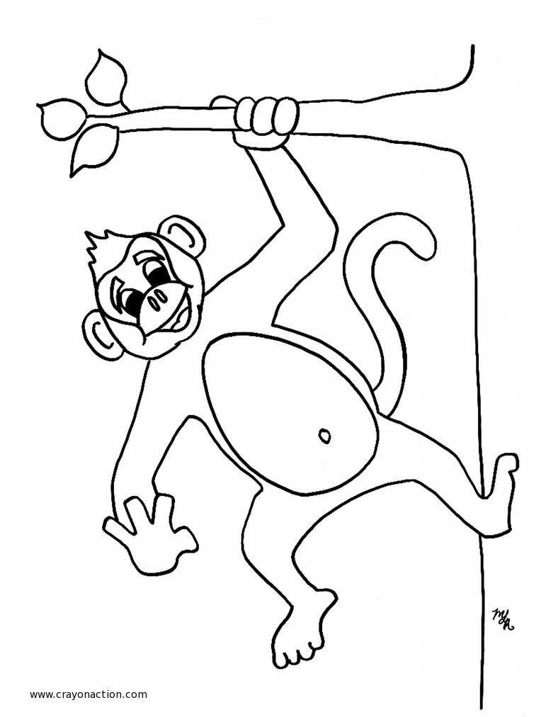 Раскраска: обезьяна (Животные) #14155 - Бесплатные раскраски для печати