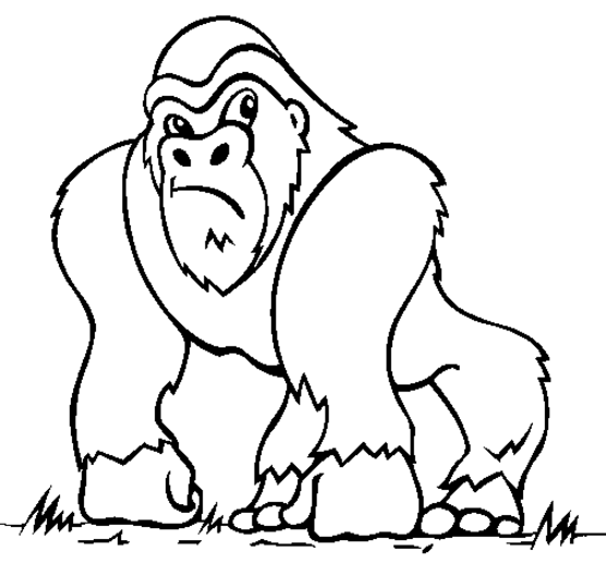 Раскраска: обезьяна (Животные) #14163 - Бесплатные раскраски для печати