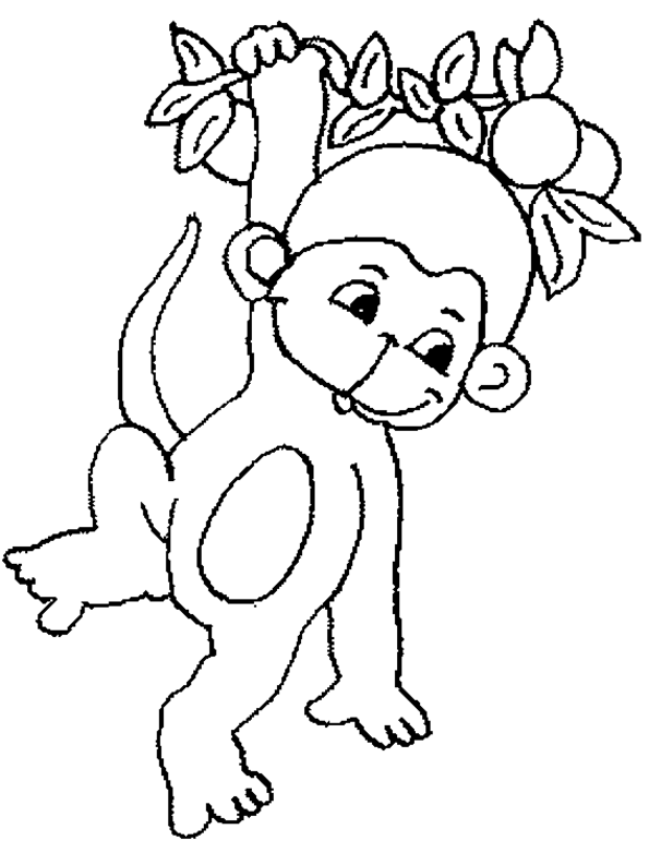 Раскраска: обезьяна (Животные) #14203 - Бесплатные раскраски для печати