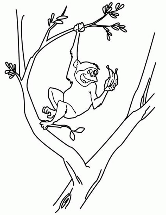 Раскраска: обезьяна (Животные) #14230 - Бесплатные раскраски для печати