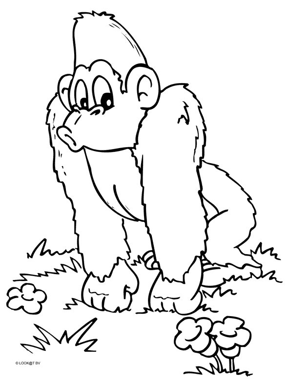 Раскраска: обезьяна (Животные) #14242 - Бесплатные раскраски для печати