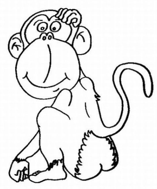 Раскраска: обезьяна (Животные) #14251 - Бесплатные раскраски для печати