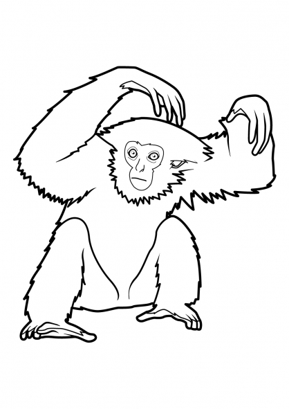 Раскраска: обезьяна (Животные) #14261 - Бесплатные раскраски для печати