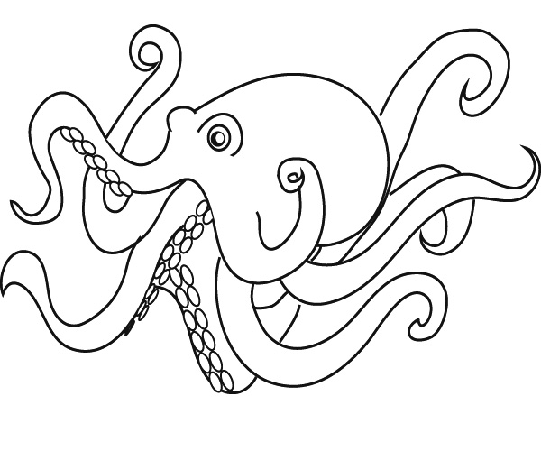 Раскраска: осьминог (Животные) #18913 - Бесплатные раскраски для печати