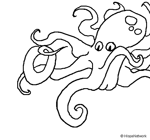 Раскраска: осьминог (Животные) #18964 - Бесплатные раскраски для печати