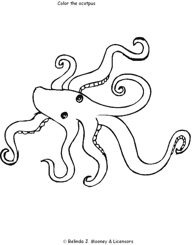 Раскраска: осьминог (Животные) #18965 - Бесплатные раскраски для печати