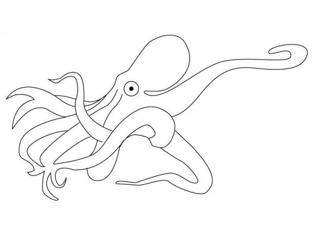 Раскраска: осьминог (Животные) #18977 - Бесплатные раскраски для печати