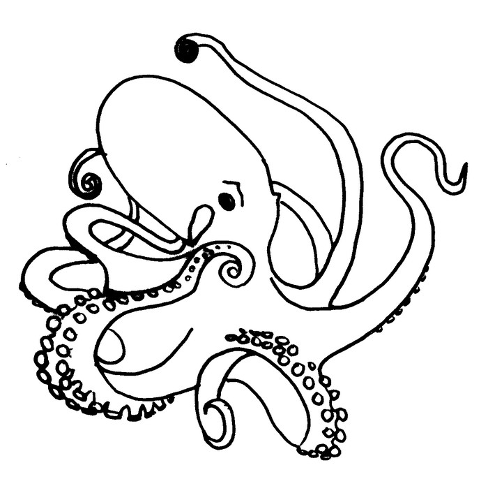 Раскраска: осьминог (Животные) #19020 - Бесплатные раскраски для печати