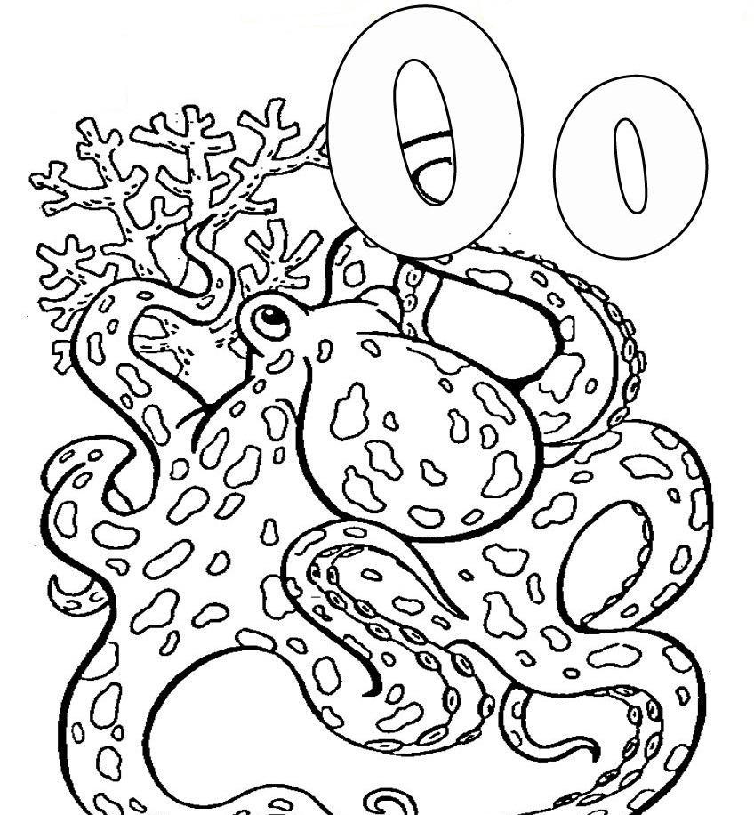 Раскраска: осьминог (Животные) #19035 - Бесплатные раскраски для печати