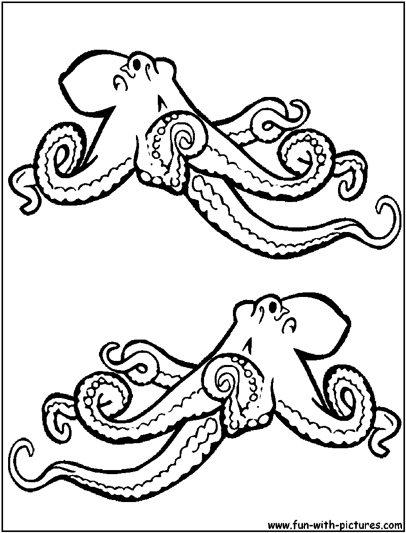 Раскраска: осьминог (Животные) #19041 - Бесплатные раскраски для печати
