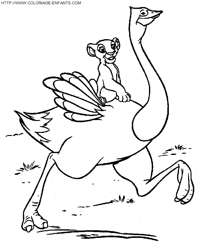 Раскраска: страус (Животные) #737 - Бесплатные раскраски для печати