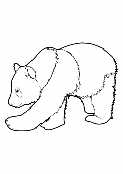 Раскраска: панда (Животные) #12452 - Бесплатные раскраски для печати