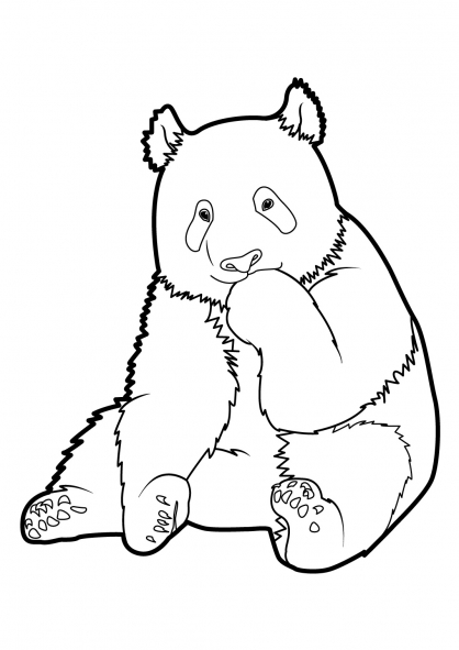 Раскраска: панда (Животные) #12465 - Бесплатные раскраски для печати