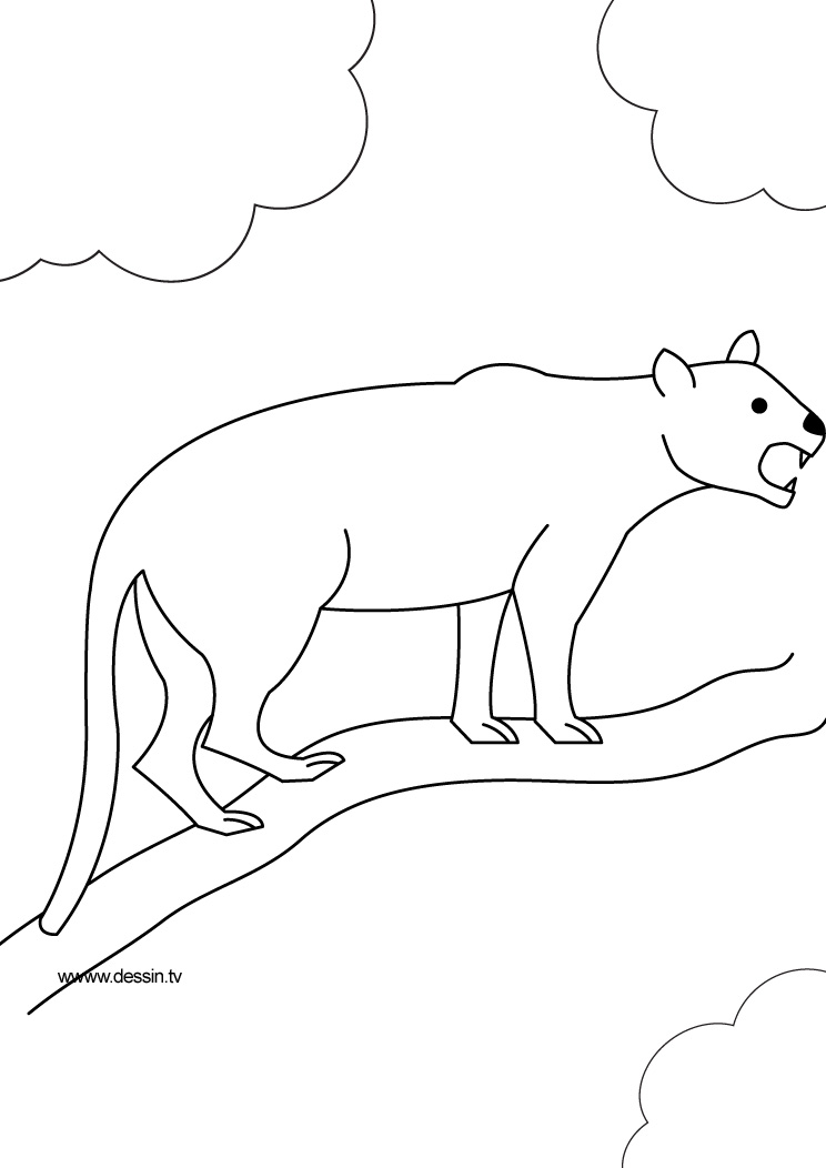 Раскраска: пантера (Животные) #15525 - Бесплатные раскраски для печати