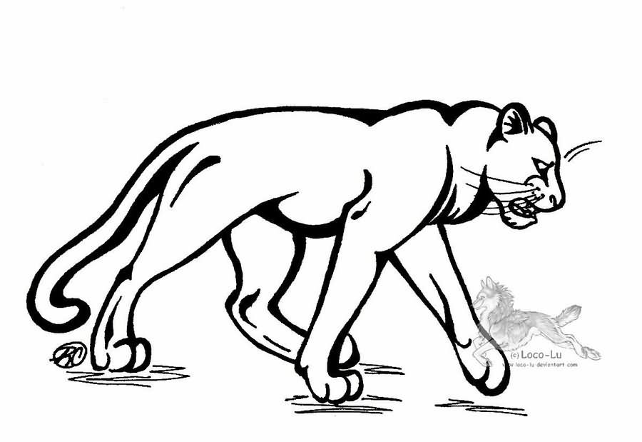 Раскраска: пантера (Животные) #15627 - Бесплатные раскраски для печати