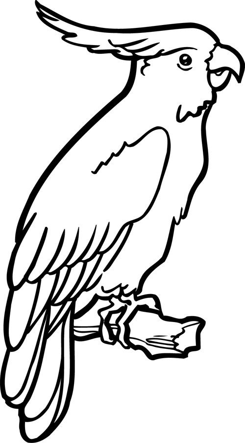 Раскраска: попугай (Животные) #16081 - Бесплатные раскраски для печати