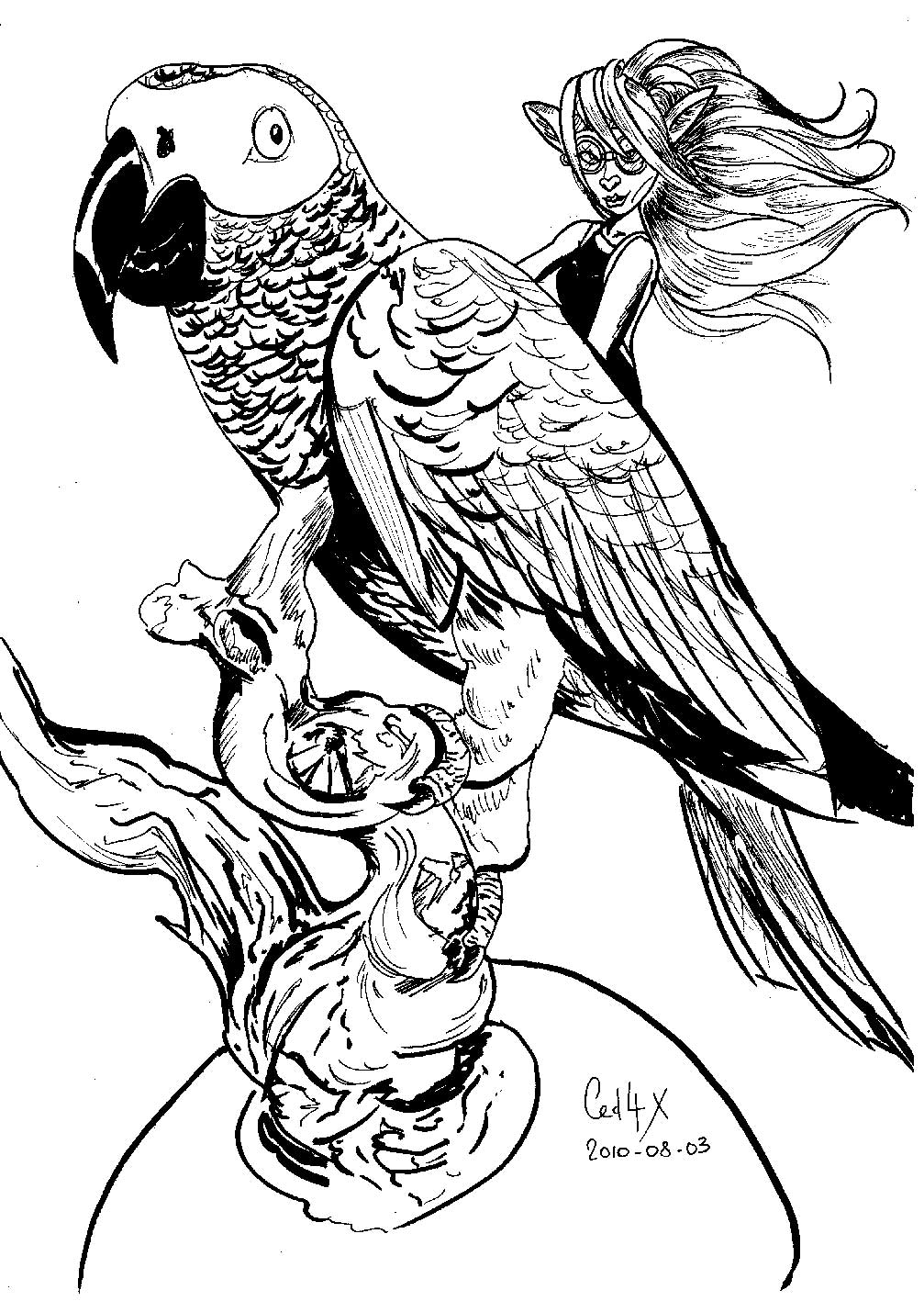Раскраска: попугай (Животные) #16242 - Бесплатные раскраски для печати