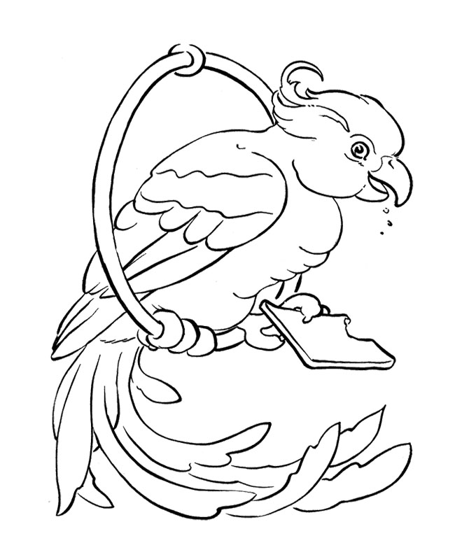 Раскраска: попугай (Животные) #16252 - Бесплатные раскраски для печати