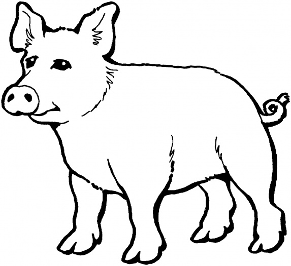 Раскраска: свинья (Животные) #3671 - Бесплатные раскраски для печати