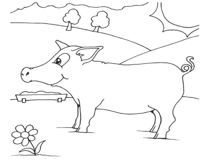 Раскраска: свинина (Животные) #17638 - Бесплатные раскраски для печати