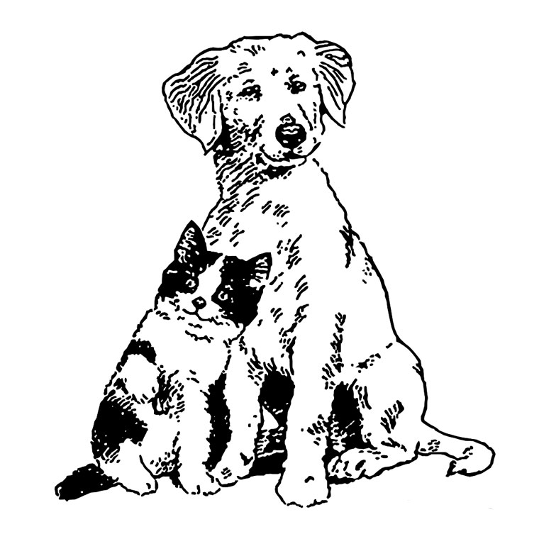 Раскраска: щенок (Животные) #2931 - Бесплатные раскраски для печати