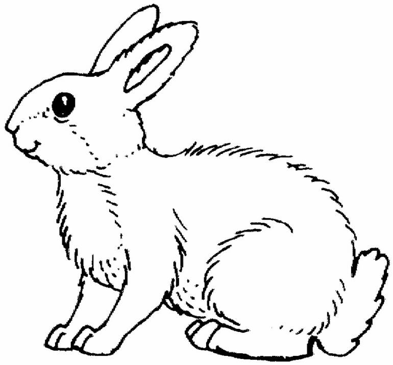 Раскраска: кролик (Животные) #9504 - Бесплатные раскраски для печати