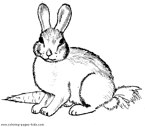 Раскраска: кролик (Животные) #9519 - Бесплатные раскраски для печати