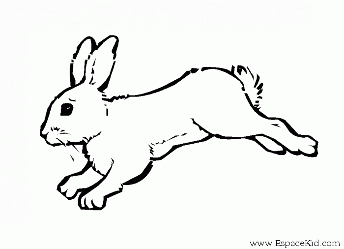 Раскраска: кролик (Животные) #9560 - Бесплатные раскраски для печати