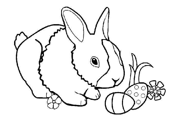 Раскраска: кролик (Животные) #9591 - Бесплатные раскраски для печати