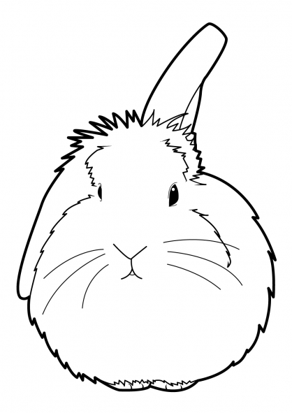 Раскраска: кролик (Животные) #9641 - Бесплатные раскраски для печати