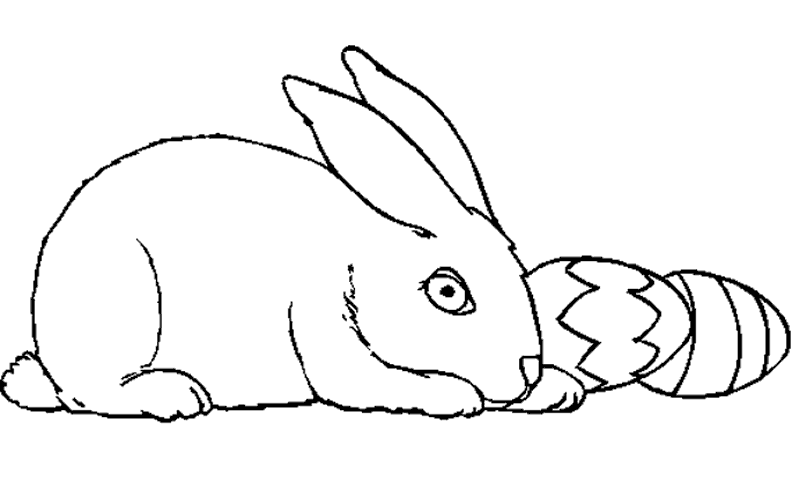 Раскраска: кролик (Животные) #9648 - Бесплатные раскраски для печати