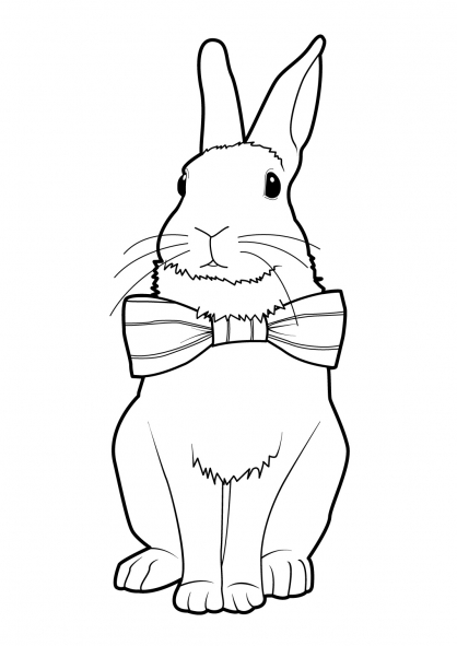 Раскраска: кролик (Животные) #9651 - Бесплатные раскраски для печати