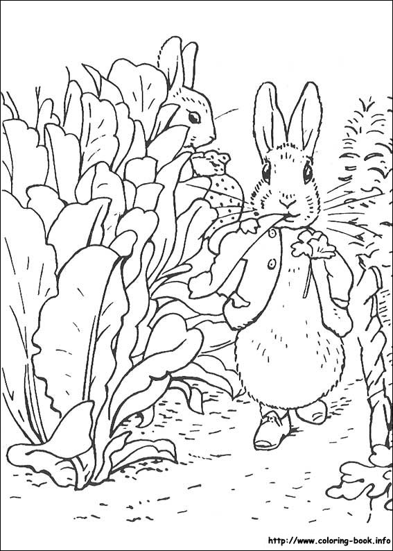 Раскраска: кролик (Животные) #9664 - Бесплатные раскраски для печати