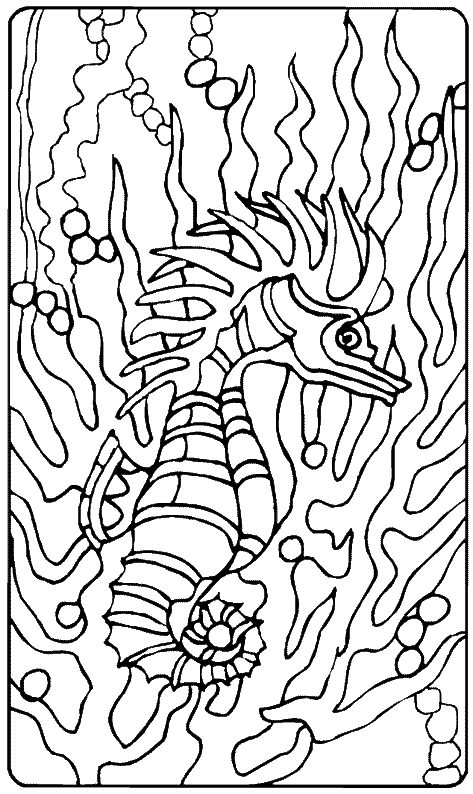 Раскраска: морской конек (Животные) #18630 - Бесплатные раскраски для печати
