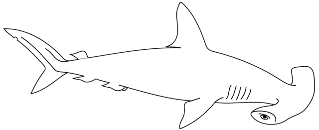 Раскраска: акула (Животные) #14787 - Бесплатные раскраски для печати