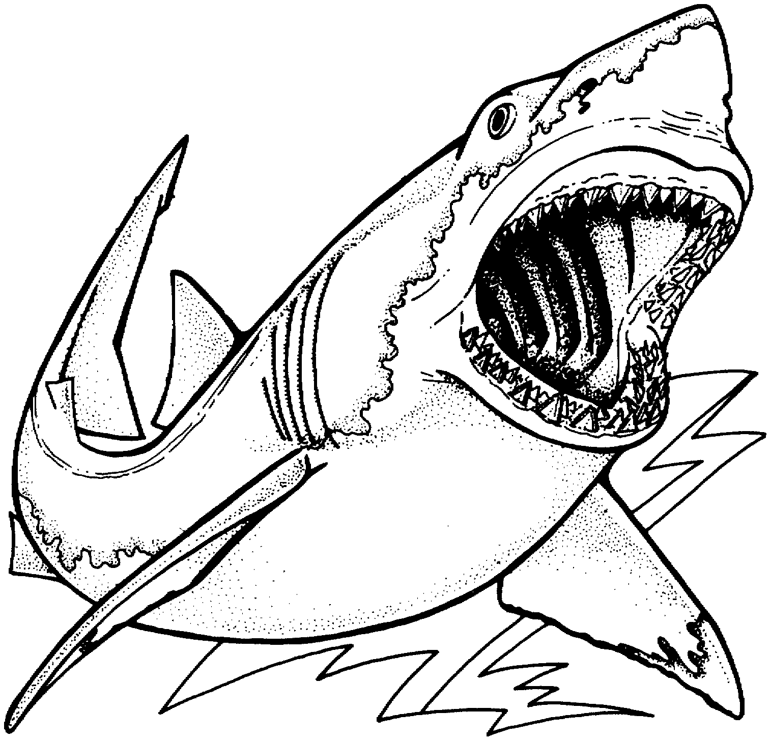 Раскраска: акула (Животные) #14896 - Бесплатные раскраски для печати