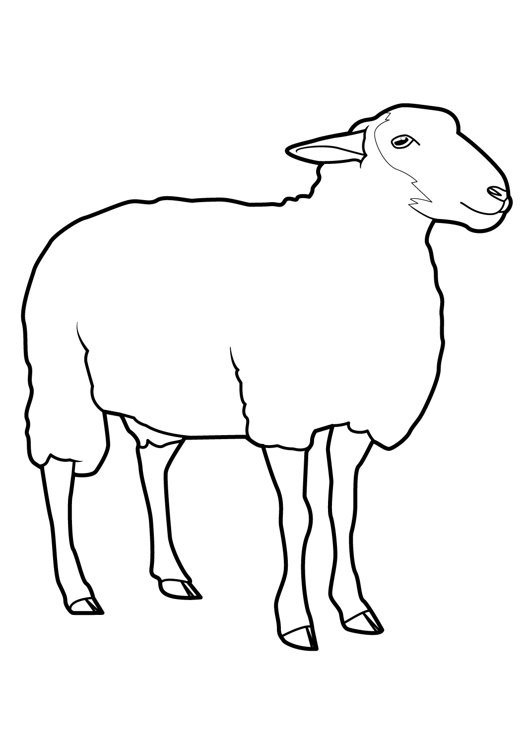 Раскраска: овца (Животные) #11390 - Бесплатные раскраски для печати