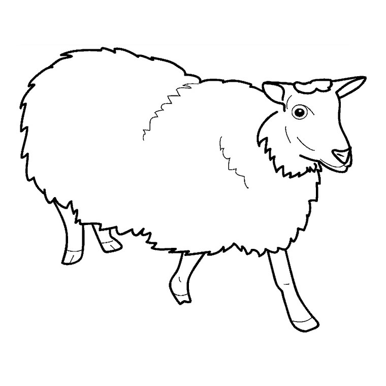 Раскраска: овца (Животные) #11396 - Бесплатные раскраски для печати