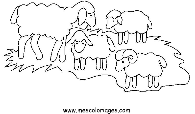 Раскраска: овца (Животные) #11414 - Бесплатные раскраски для печати